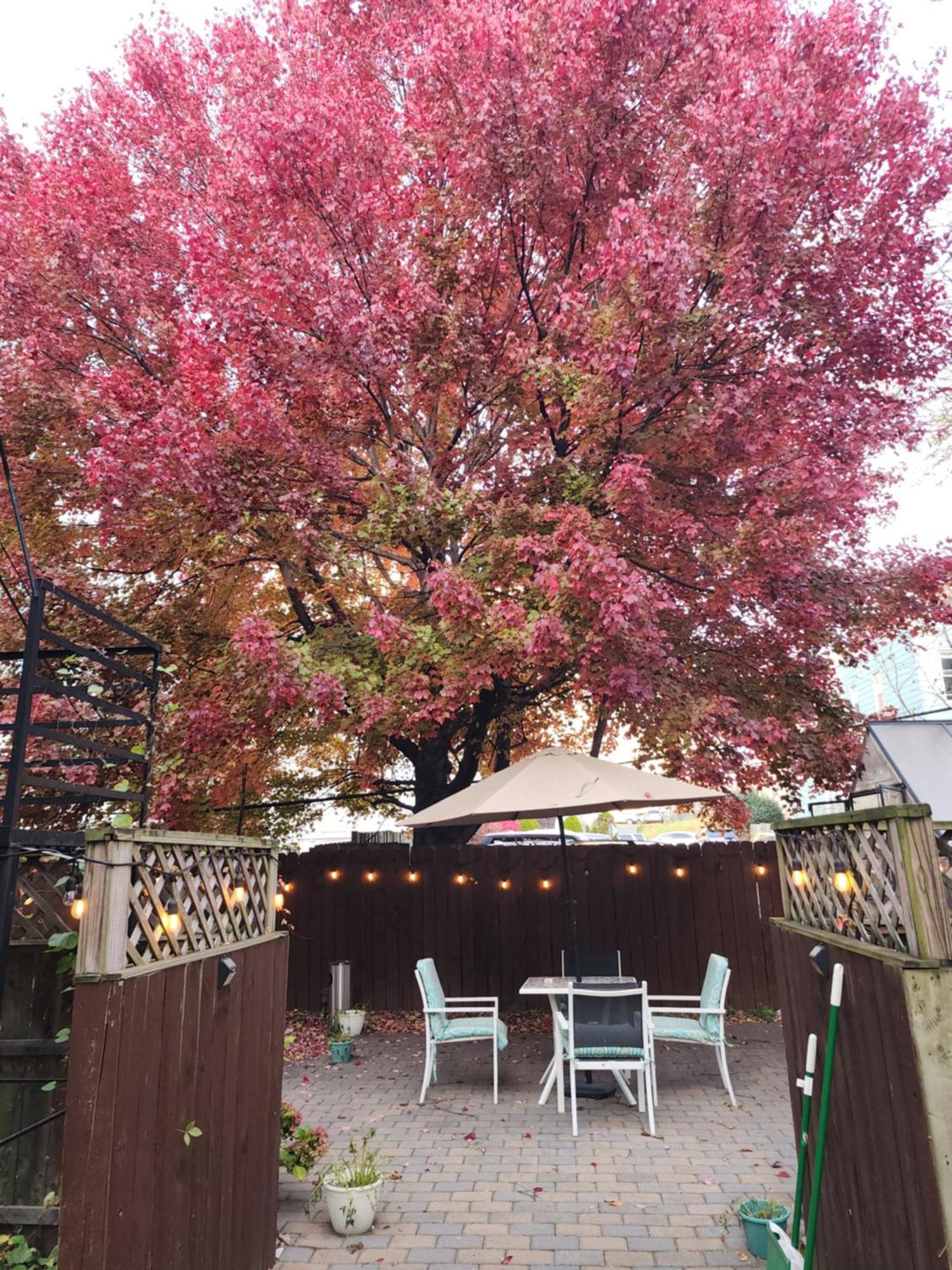 Magnolia Stay Near New York City 저지시티 외부 사진