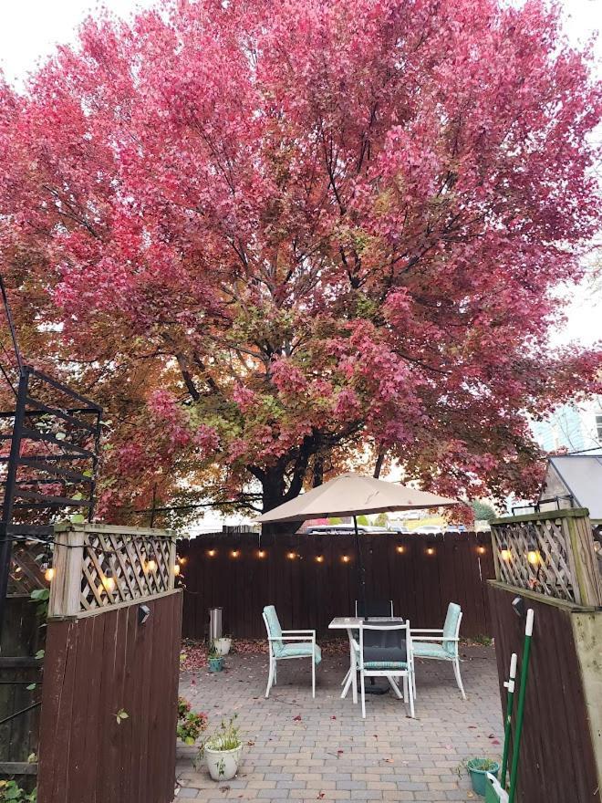 Magnolia Stay Near New York City 저지시티 외부 사진