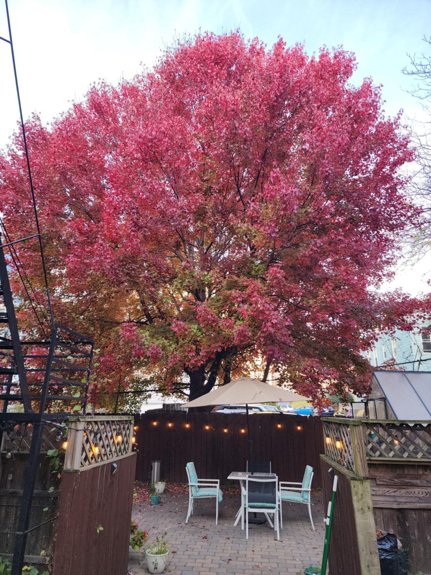 Magnolia Stay Near New York City 저지시티 외부 사진
