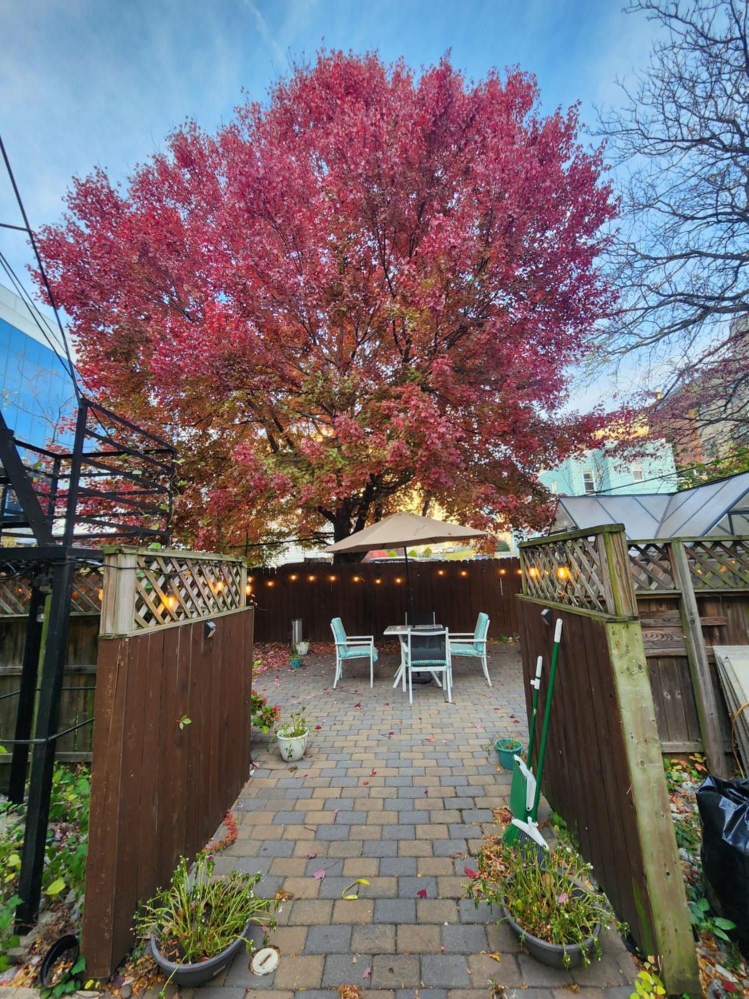Magnolia Stay Near New York City 저지시티 외부 사진